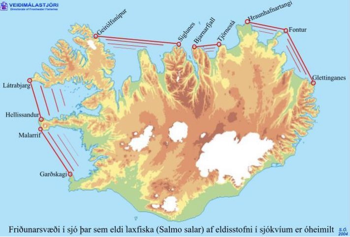 Veiði